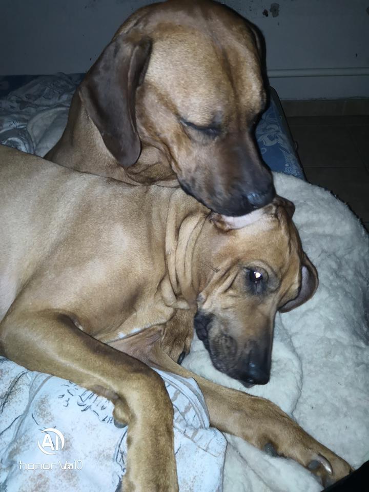 Partner 4